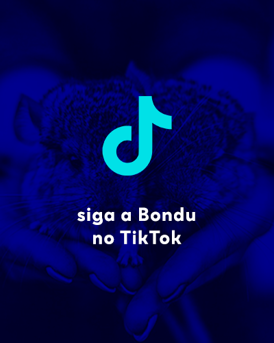 TikTok Bondu